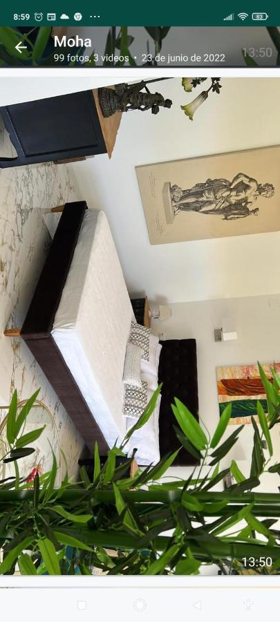 Suites 5* Lahcene Alicante Zewnętrze zdjęcie