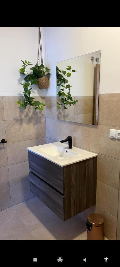 Suites 5* Lahcene Alicante Zewnętrze zdjęcie